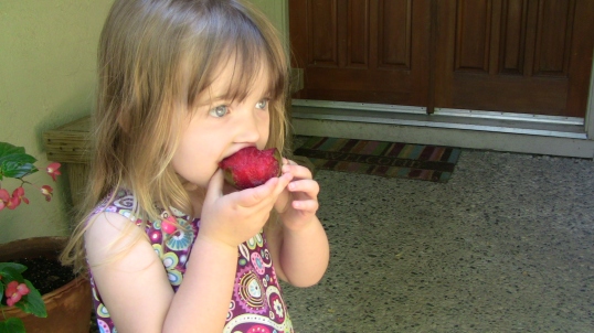 Back at home, Lily bites into a K&J plum. Pickier than a Napa chef, she proclaims them "yum."
